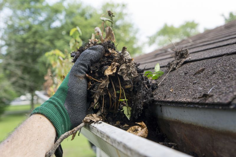 Gutter and Debris Removal Services