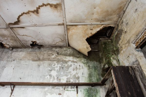 Water Damage Service in Fairfax