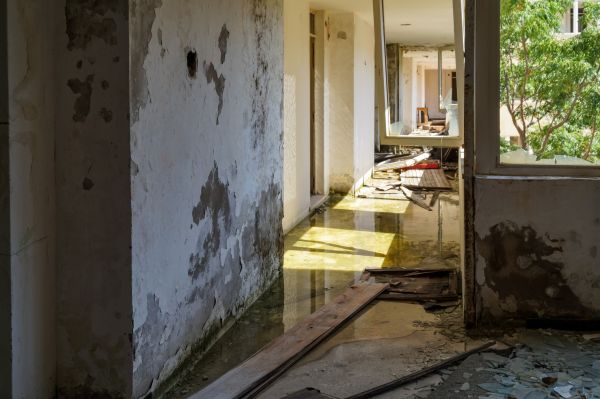 Cost of Water Removal Service in Fairfax