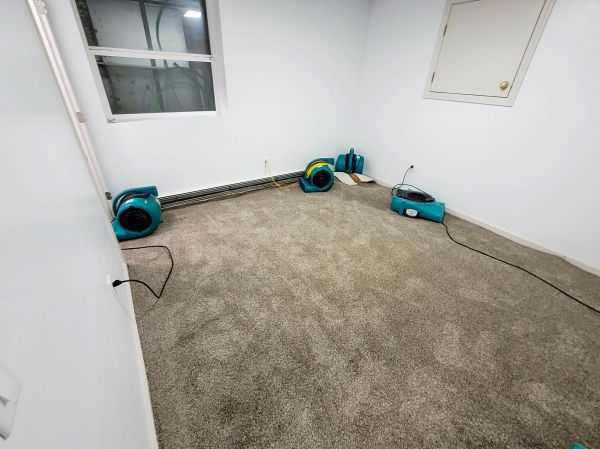 Flood Restoration Service in Fairfax